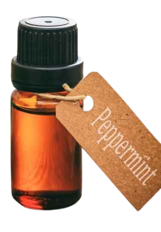 ASHWIN Peppermint 50 ml