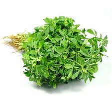 Fenugreek Leaves Methi Bunches