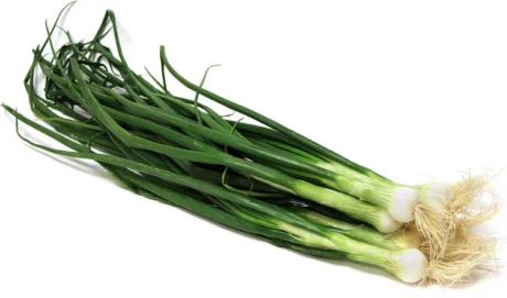 Green-Scallions-Bunch