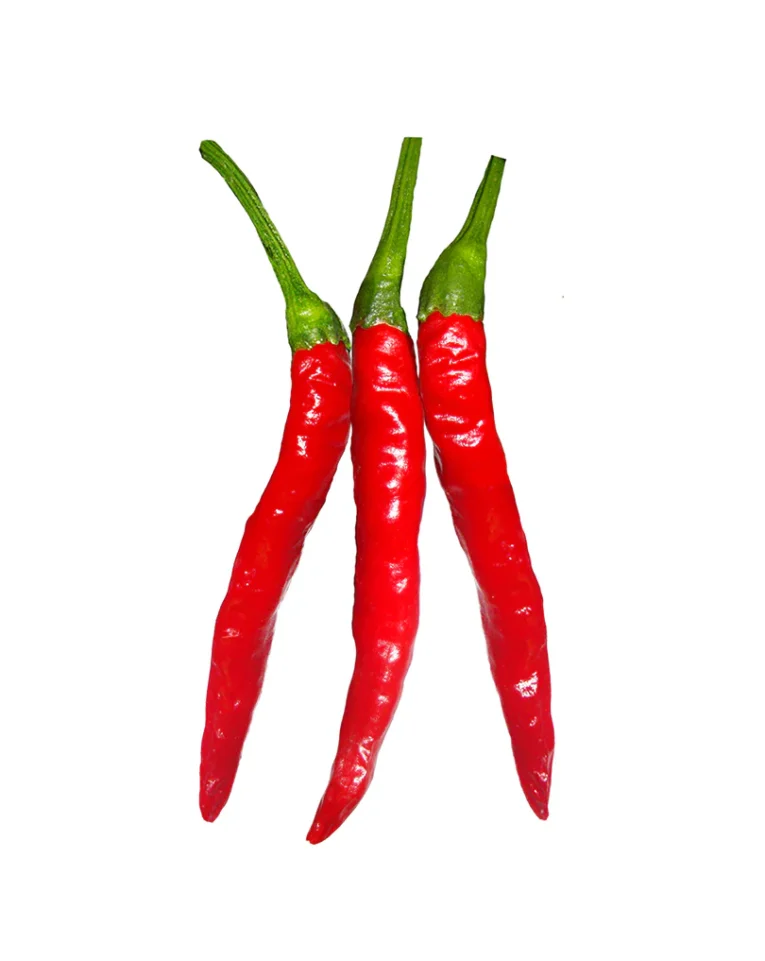 Hot-Thai-Pepper.webp