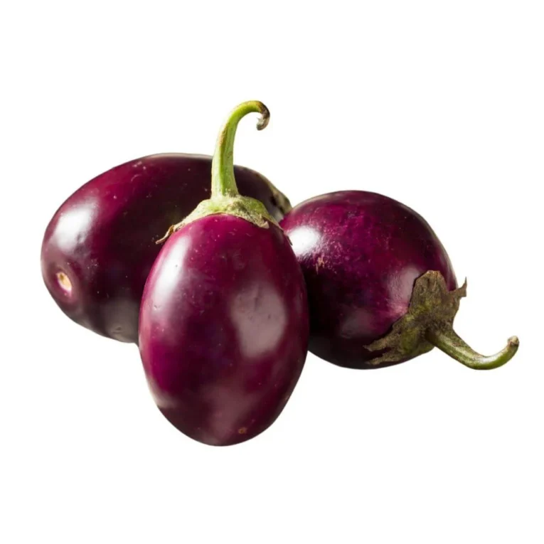 Indian-Eggplant.webp