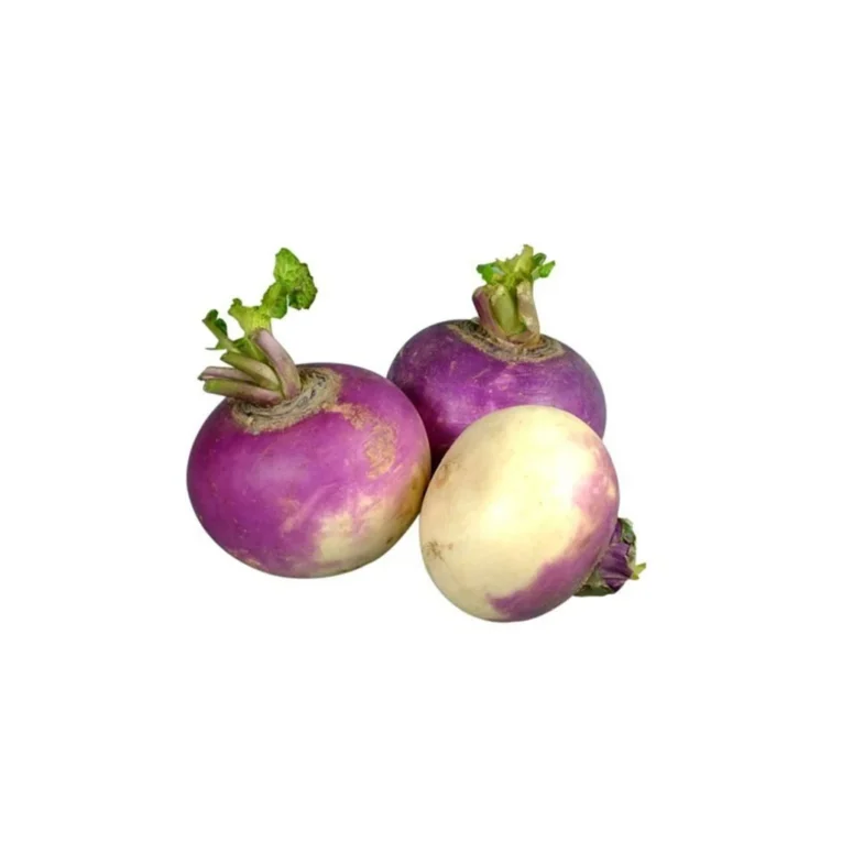 Turnip