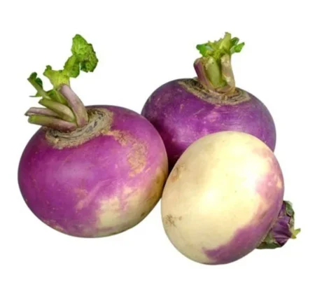 Turnip