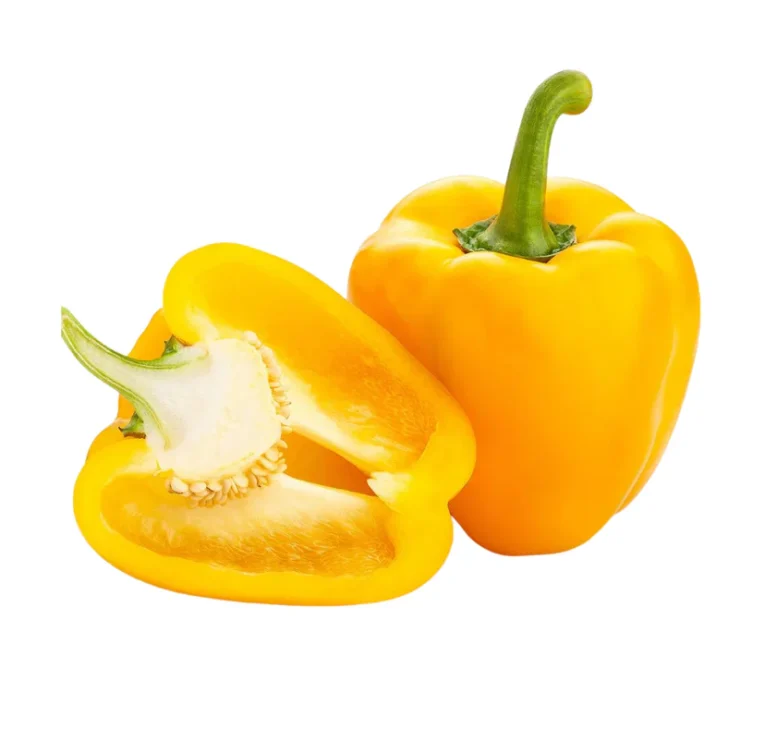 Yellow-Bell-pepper