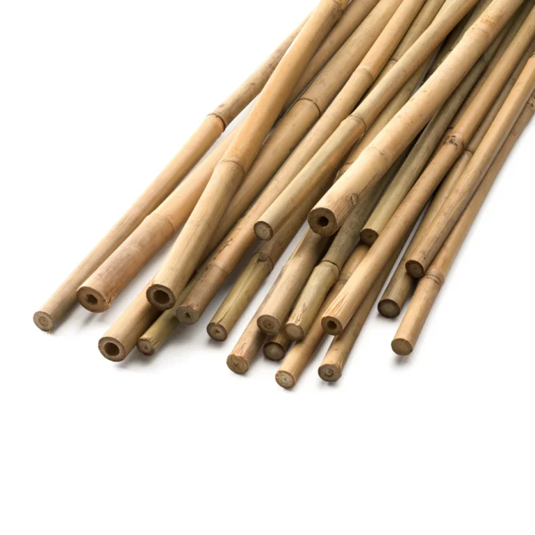 bamboo-sticks.webp