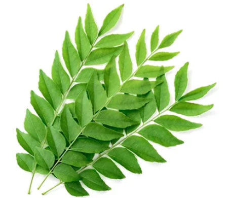 fresh-curry-leaves