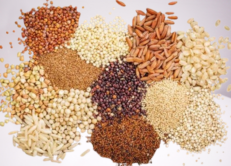 Grains & Lentils