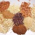 Grains and Lentils